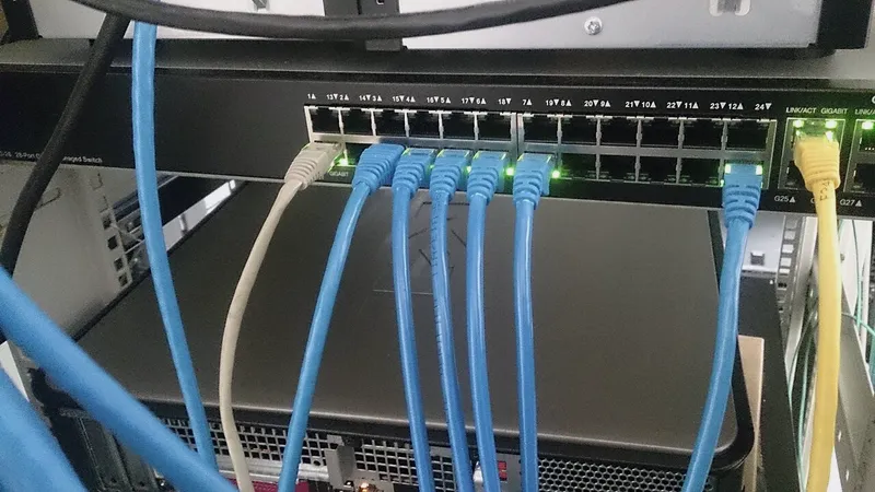 Blue network cables patched into an office switch